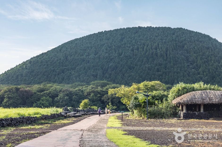 Water Forests and the Story of Highland Life in Gyorae Samdasoo Village