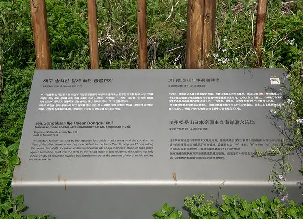 송악산 진지동굴을 해안 쪽에서 바라보는 장면입니다.