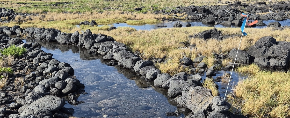 당케포구에서 이어지는 표선 해안길의 모습입니다.
