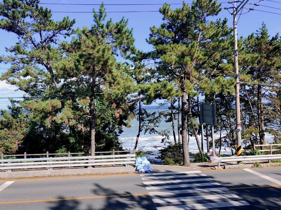 Haedong Seongchwisa Temple’s Cave Sansingak and Gijang Coastal Walk