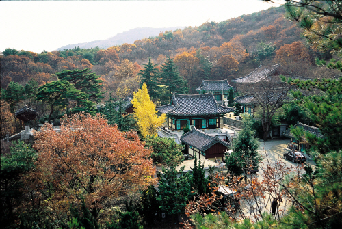 안적사의 전각과 산지형 사찰 배치를 보여주는 모습입니다.