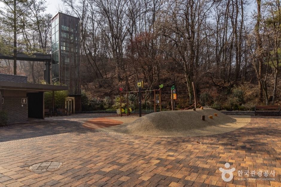 293m 대모산에서 자락길과 야생화원을 함께 걷는 법