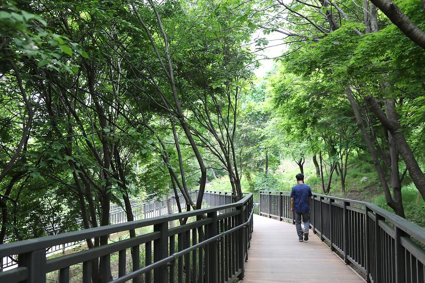 대모산 자락길의 데크 산책로입니다.