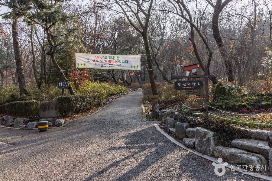 대모산도시자연공원의 숲길과 등산로입니다.