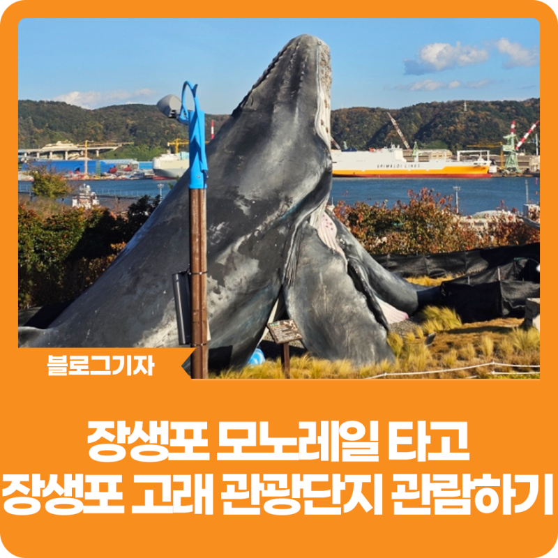 장생포고래문화특구에서 장생포모노레일을 이용하는 장면입니다.