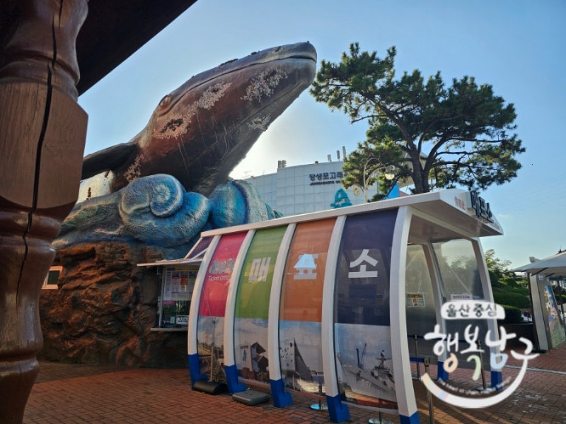 모노레일에서 바라본 장생포 일대의 항만과 관광시설 풍경입니다.