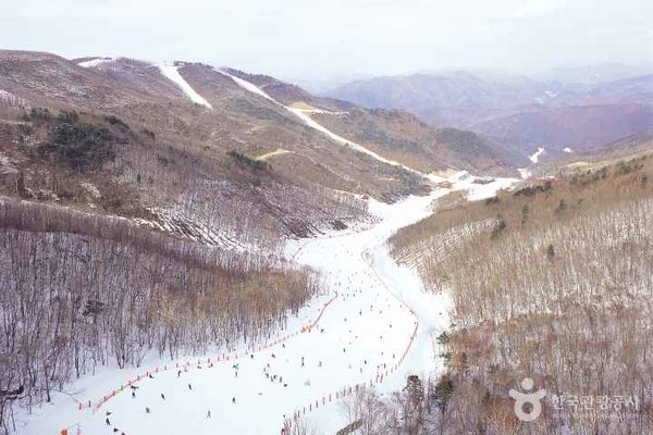 하이원리조트의 숙박시설과 산악 리조트 풍경을 보여주는 사진입니다.