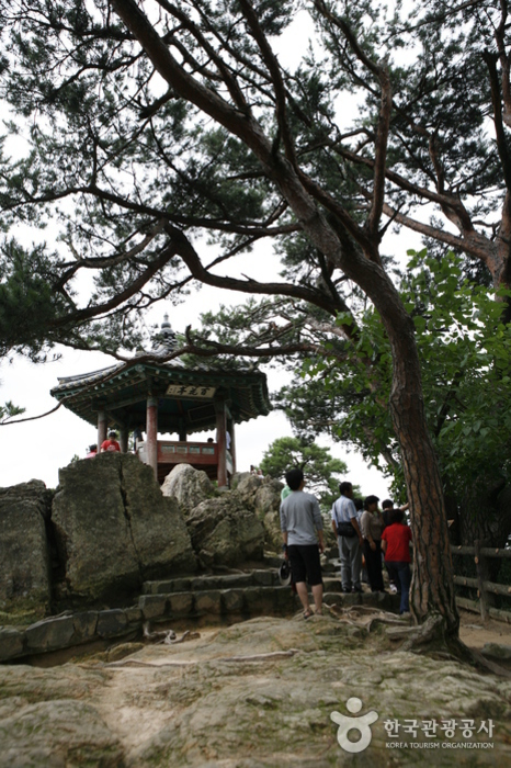 백마강 쪽에서 바라본 부소산과 낙화암 일대의 풍경입니다.