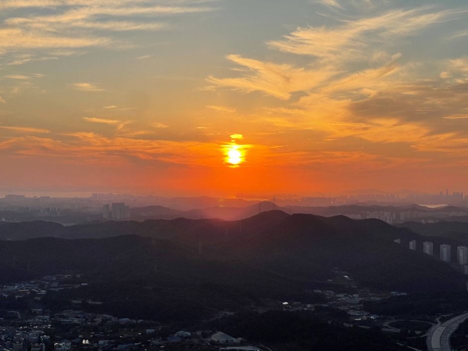 수리산의 나무와 바위가 이어지는 산길 모습입니다.