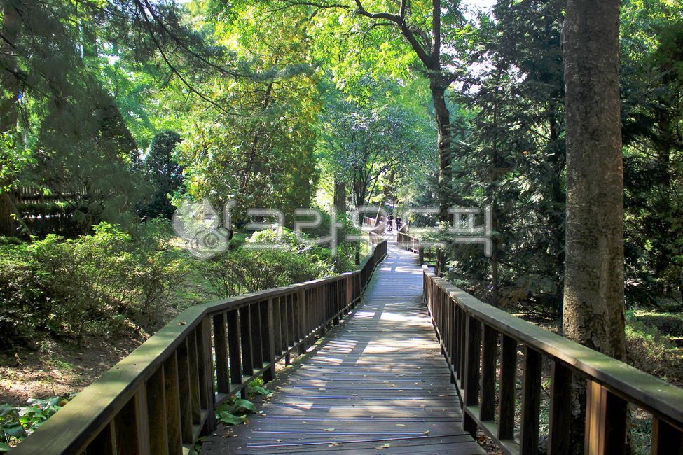 Hongneung Experimental Forest