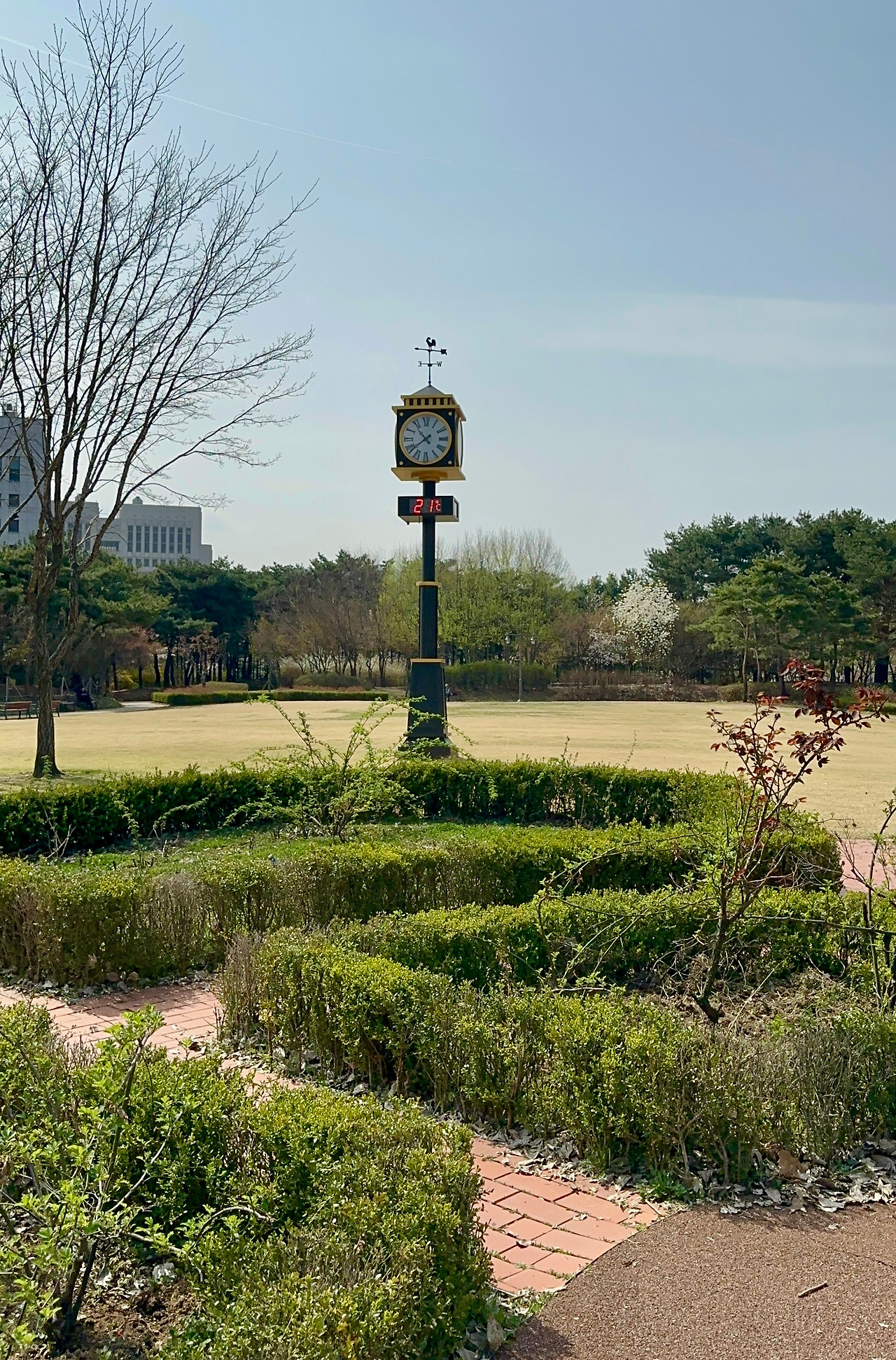 Montmartre Park