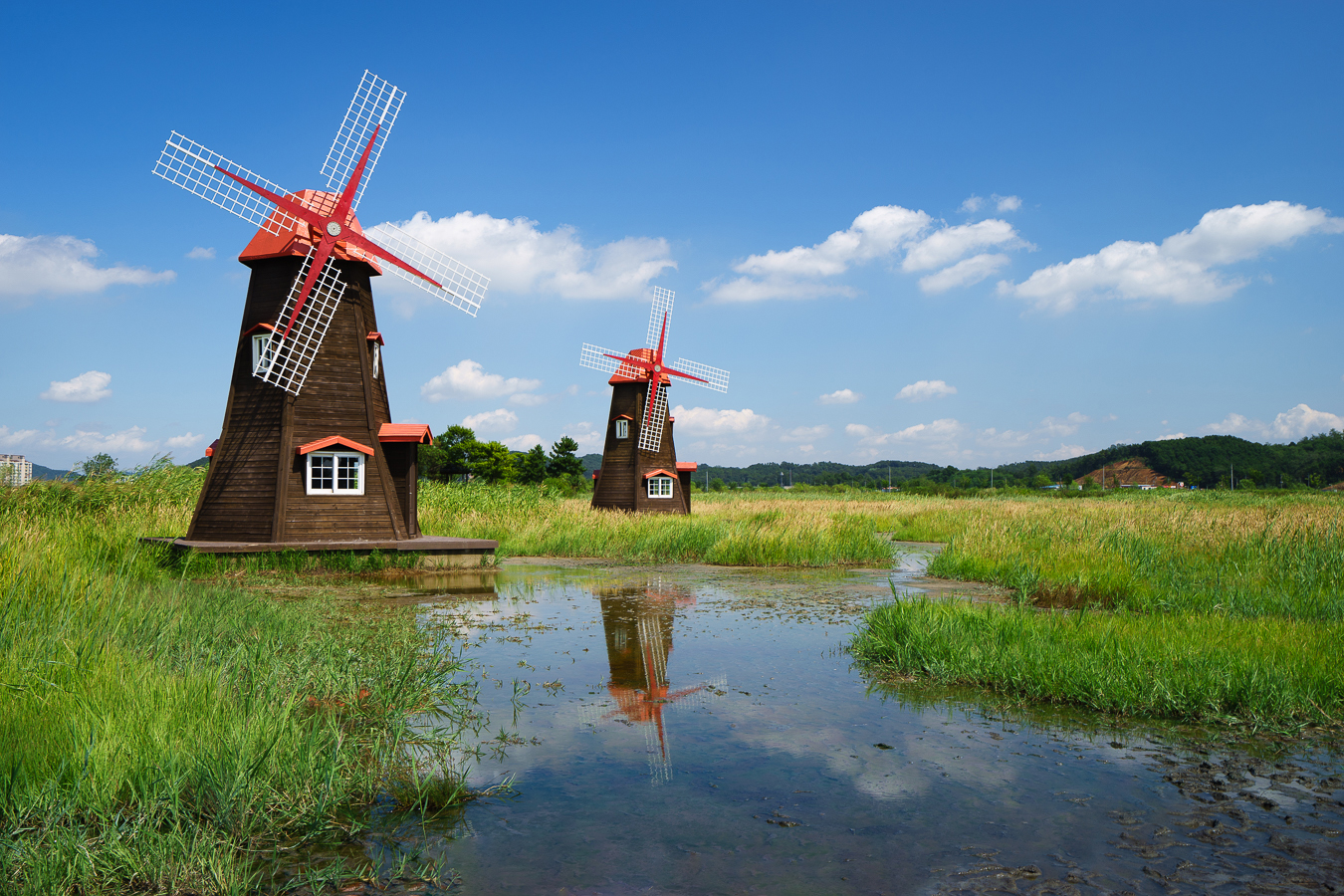 Sorae Wetland Ecological Park