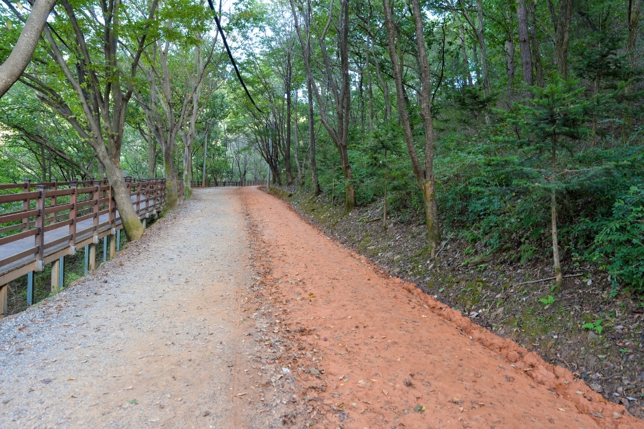 장동산림욕장
