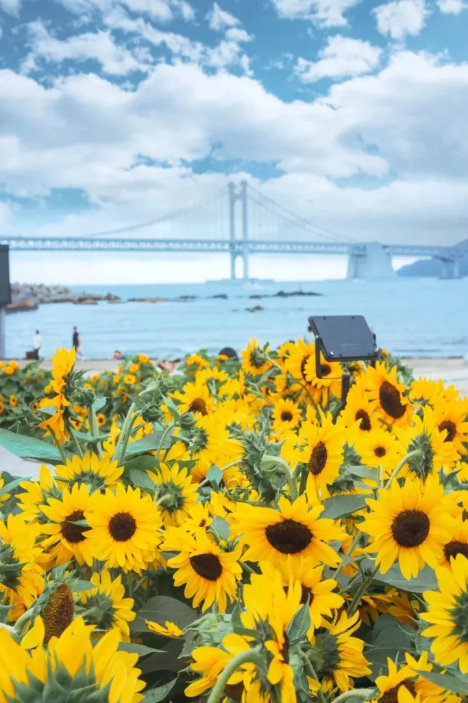 Gwangalli Beach Park