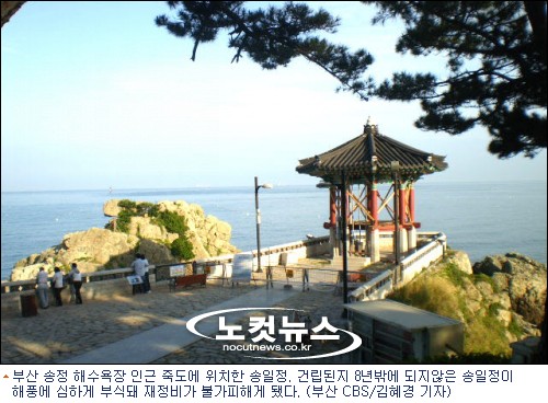 송일정