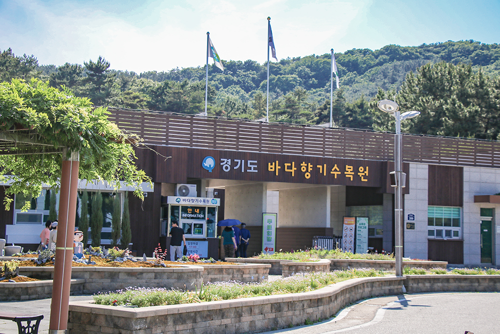 Badahyanggi Arboretum