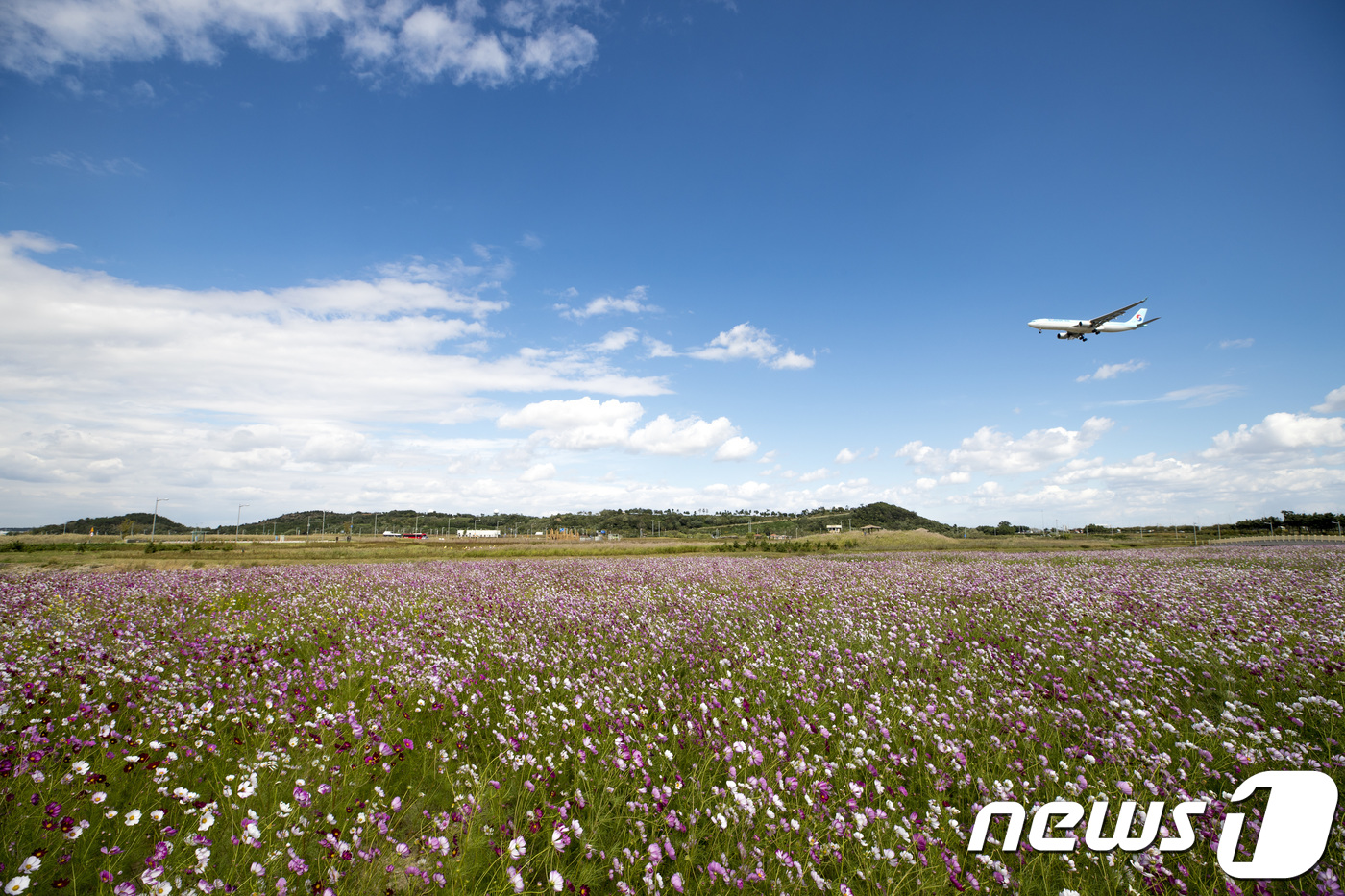 Incheon International Airport Sky Garden