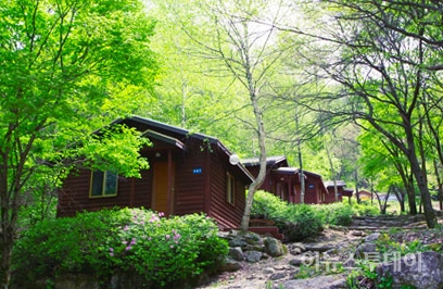 Chiaksan Natural Recreational Forest