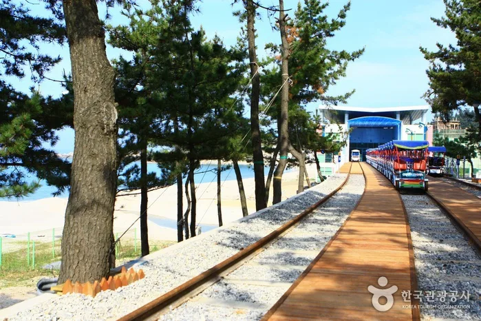 Samcheok Ocean Railbike Gungchon Station