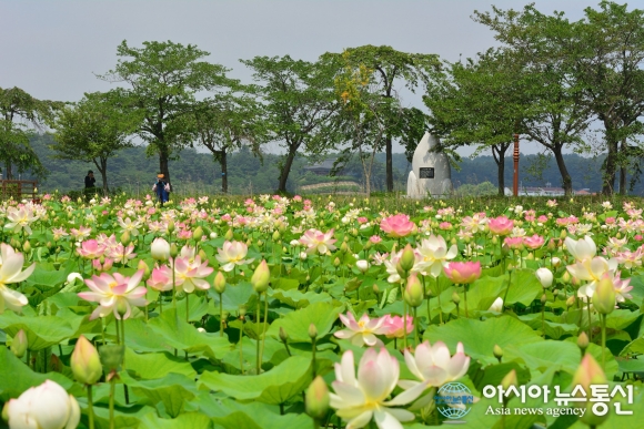 Gyeongpo Sea Glass Practice Field
