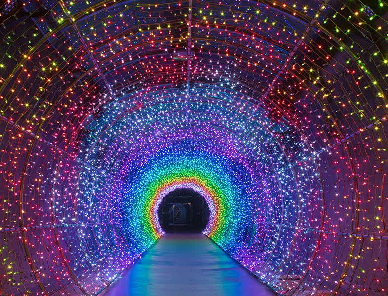 Suyanggae Light Tunnel