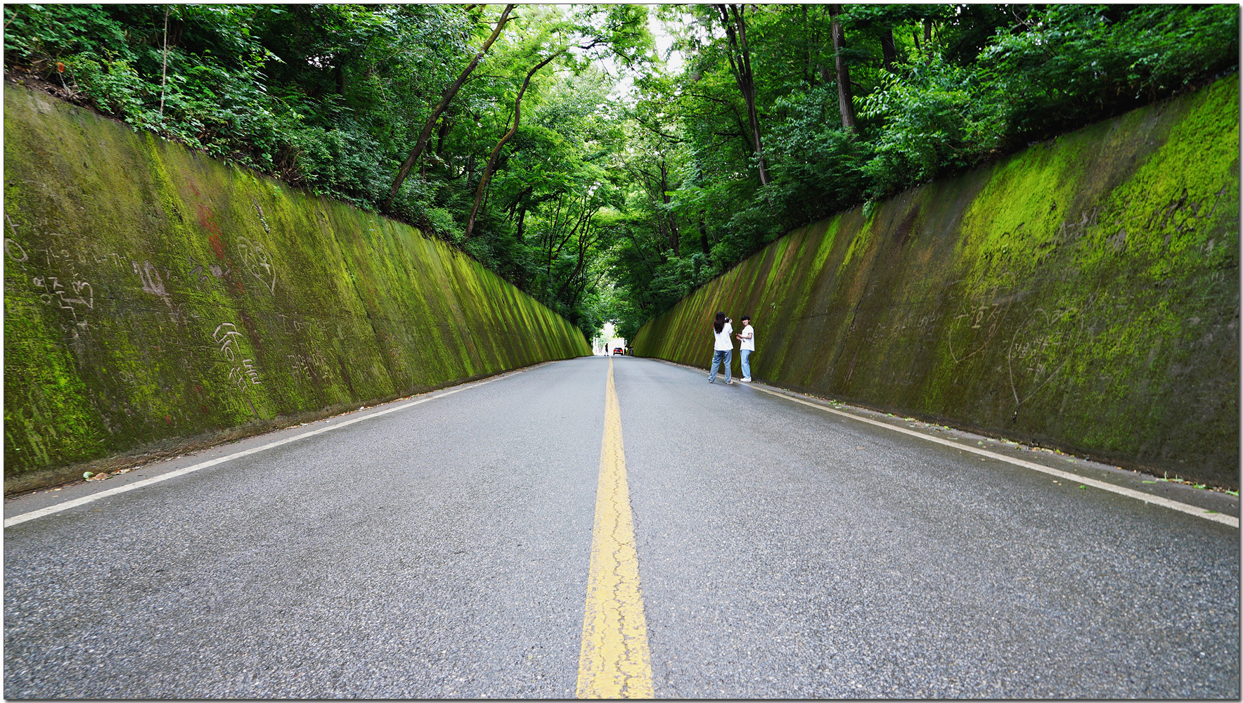 Moss Tunnel