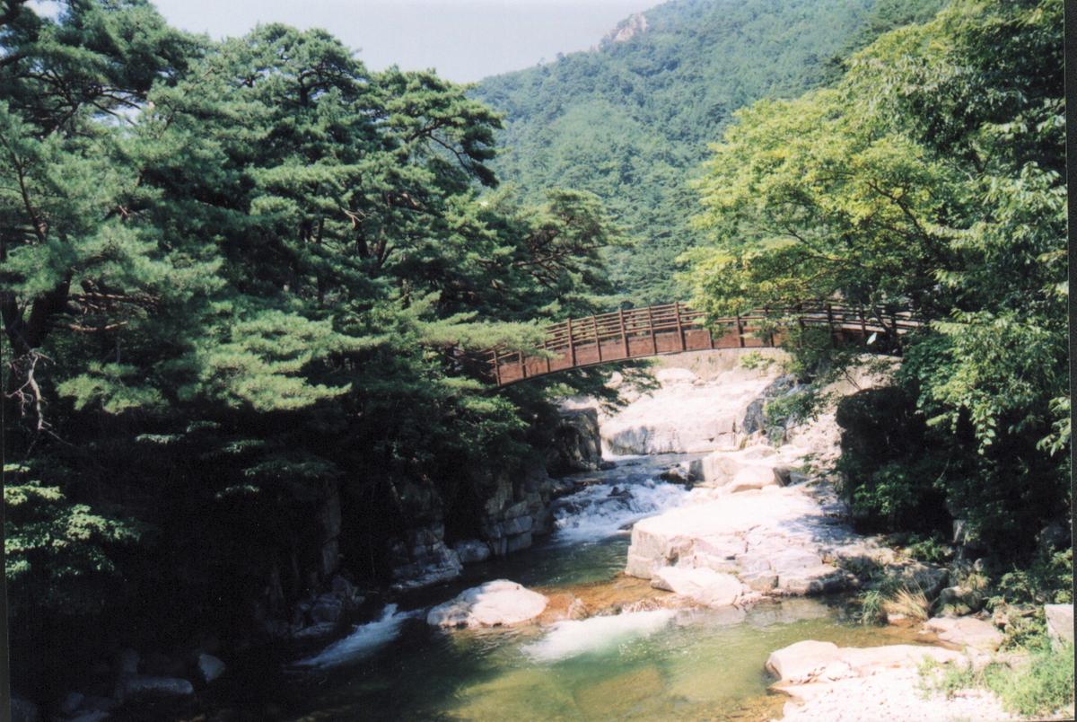 홍류동계곡
