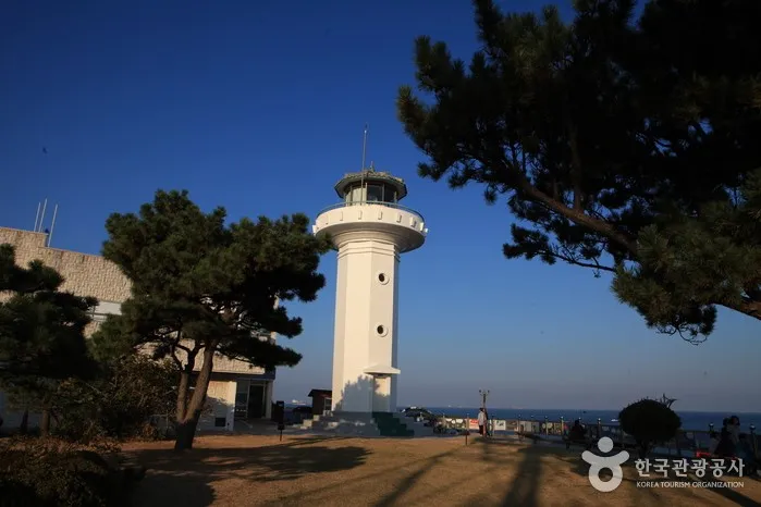 간절곶등대