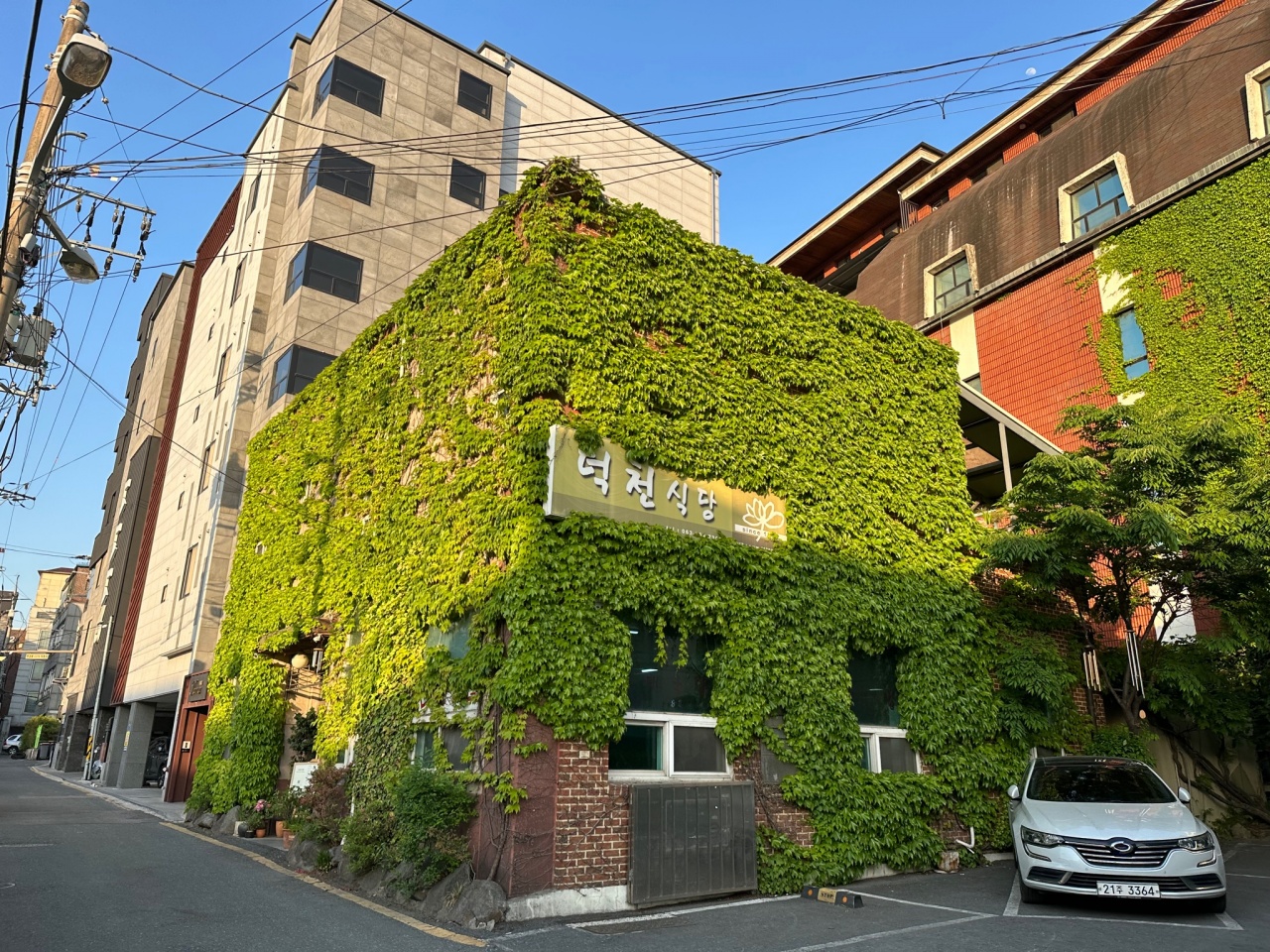 덕천식당