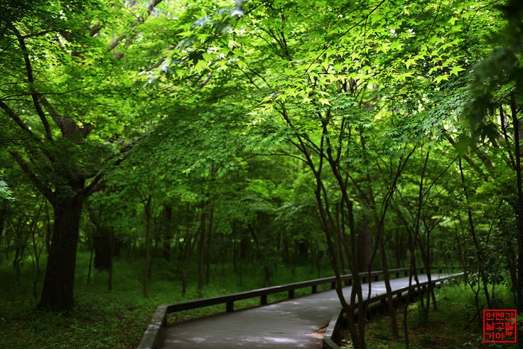 Seonunsan Ecological Forest