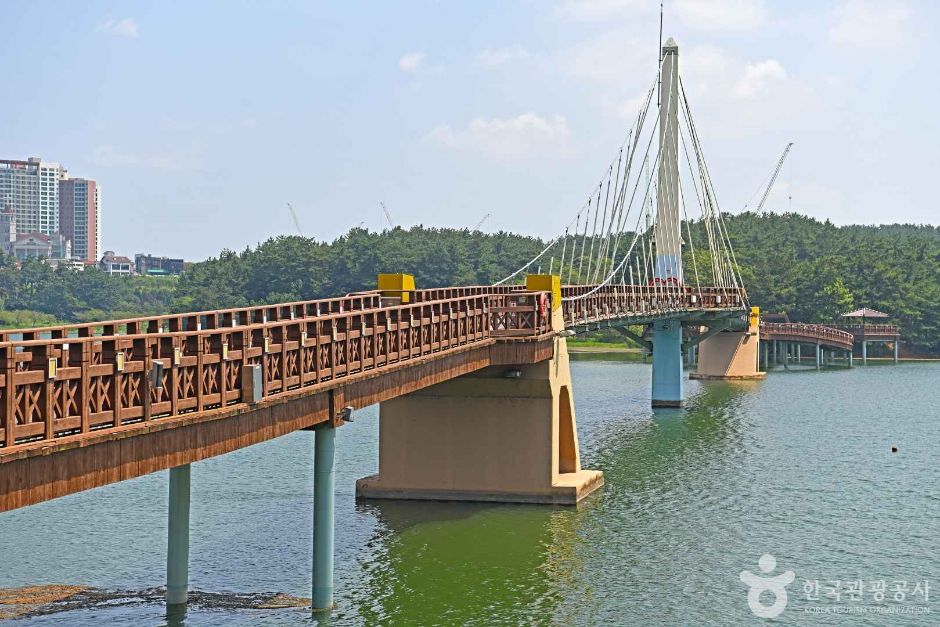 Eunpa Lake Park Mulbit Bridge