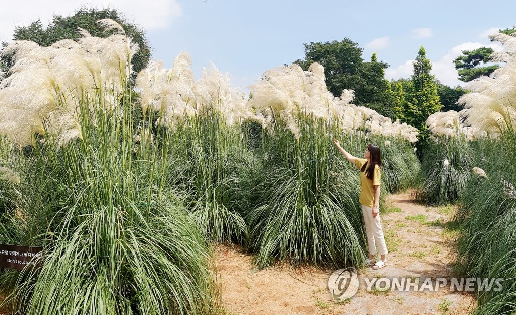 청산수목원