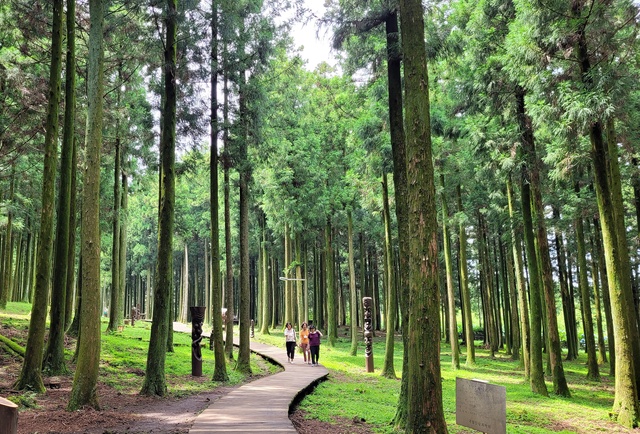 Jeju Jeolmul Natural Recreational Forest