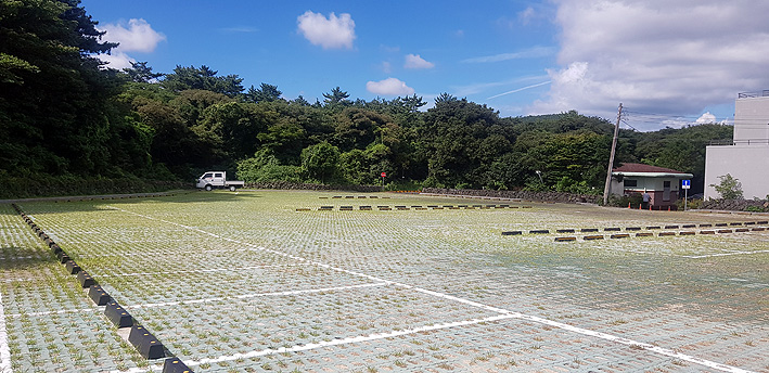 Bija Forest Parking Lot