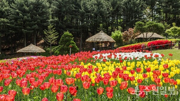 Yongin Rural Theme Park