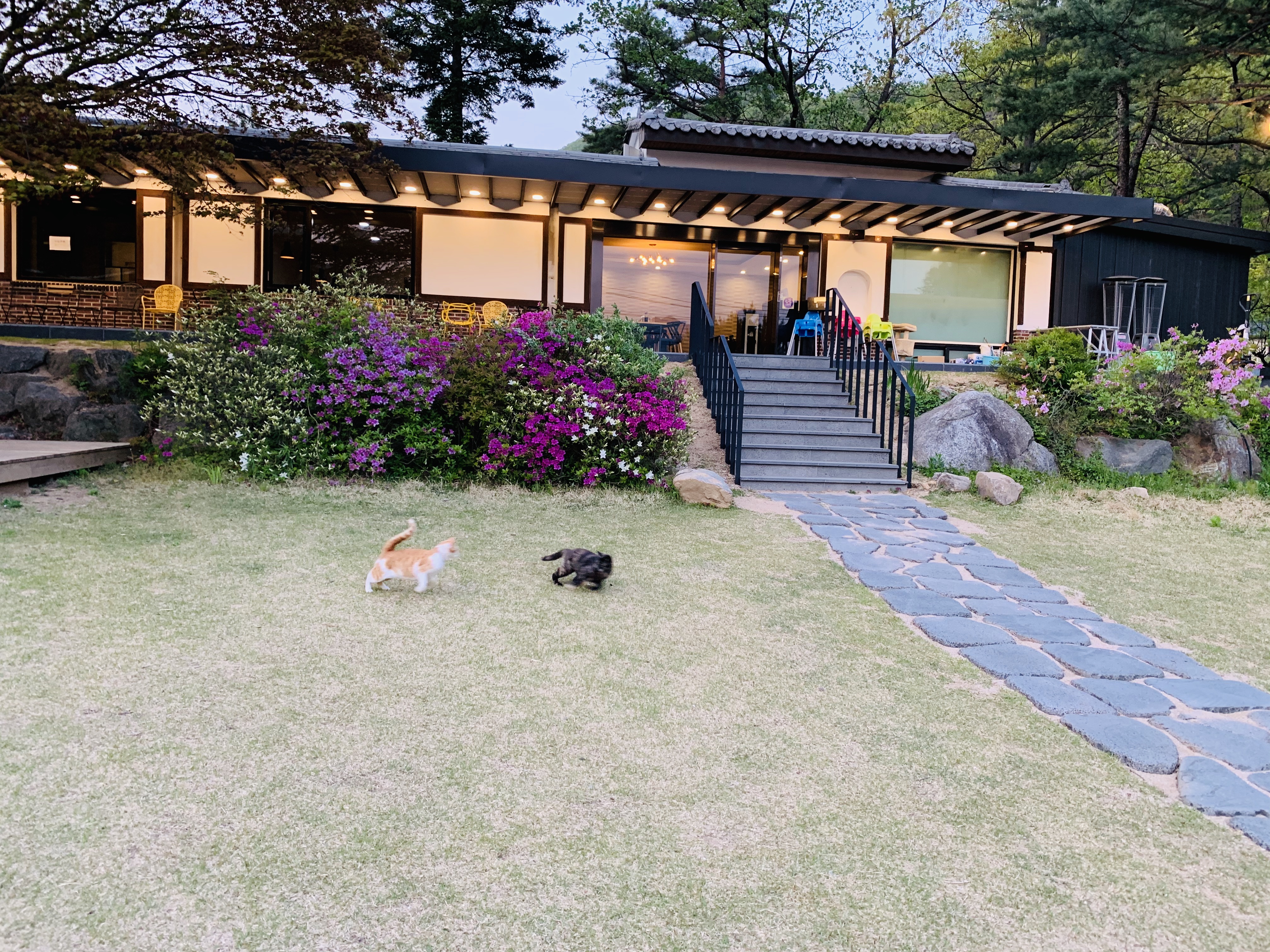 Doseonjae