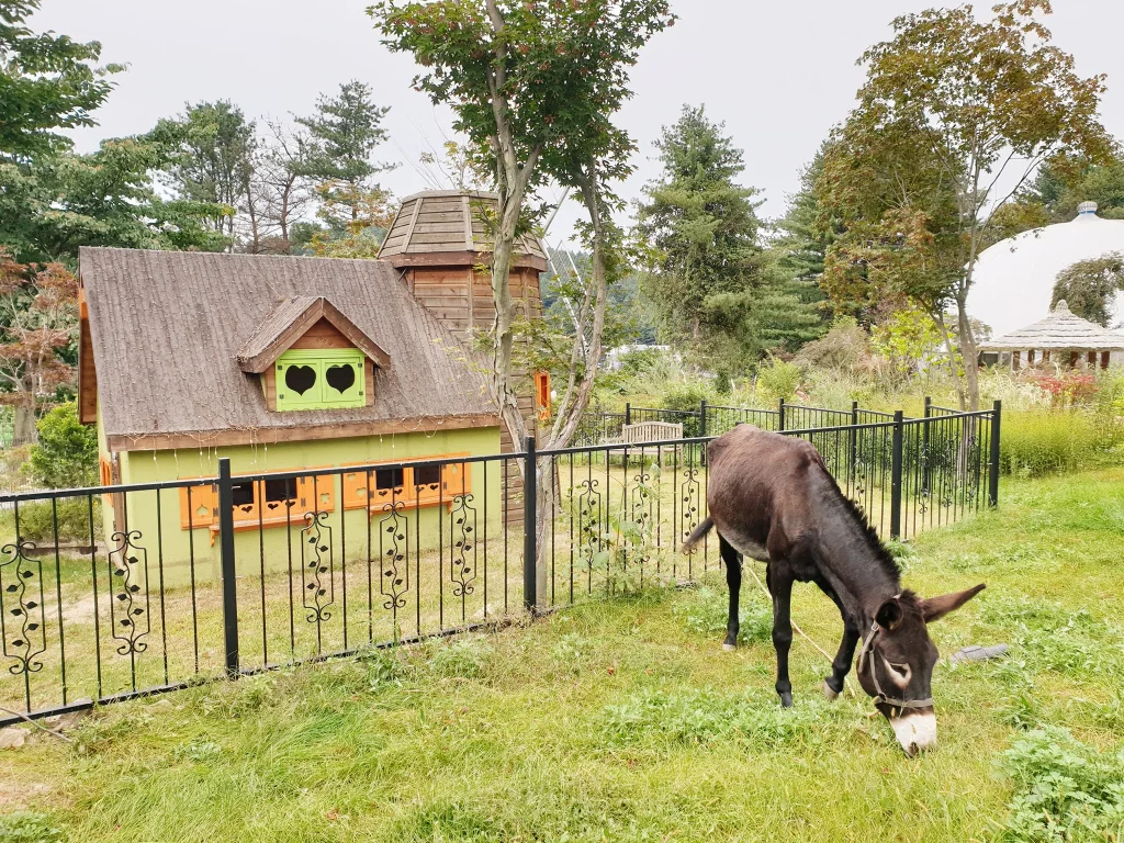 Chimgeoyo Family Zoo