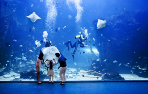 Aquaplanet Ilsan