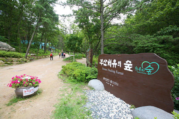부산 치유의 숲