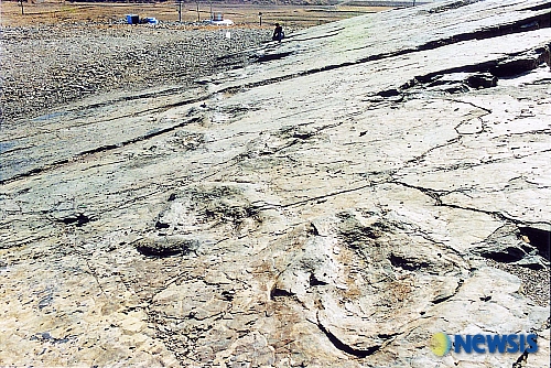 Dinosaur Footprint Fossil Site