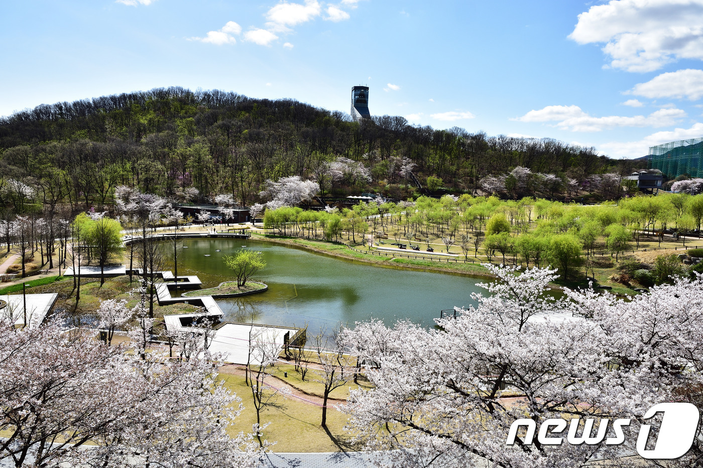 Bukseoul Dream Forest