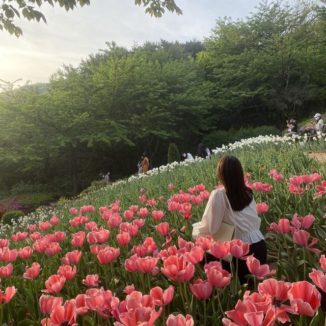Yeonhui Forest Rest Stop