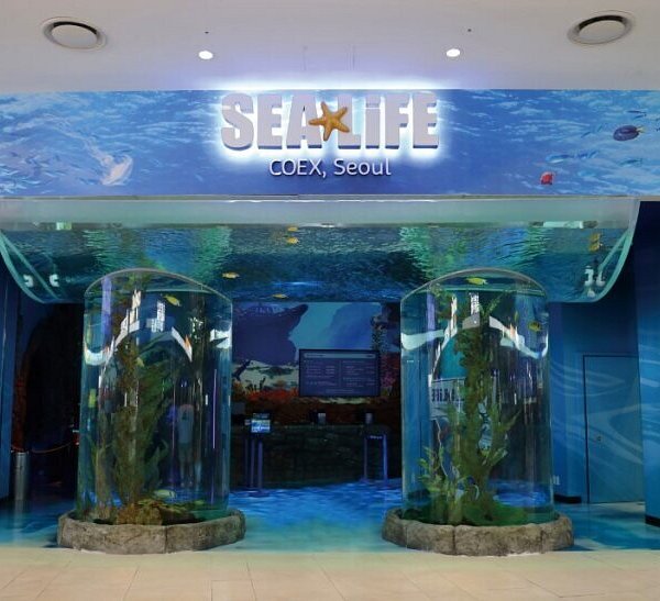 Sea Life Coex Aquarium
