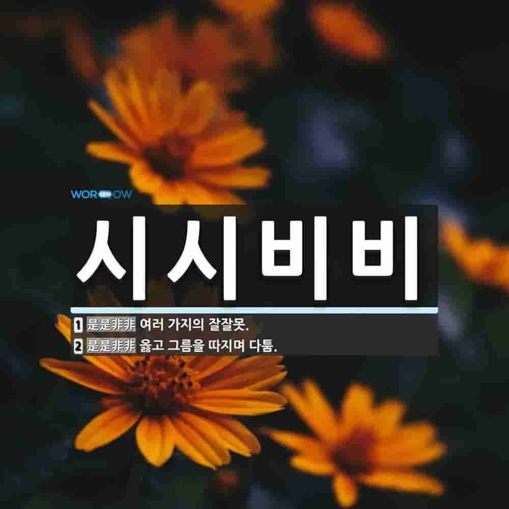 시시비비