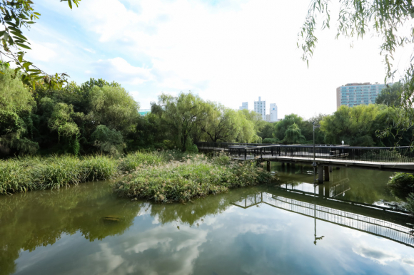 Yeouido Saetgang Ecological Park