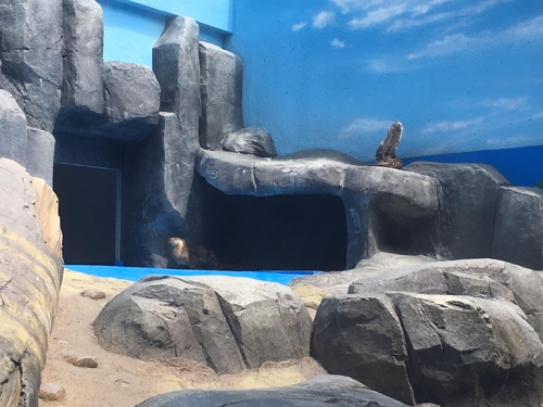 Seouldae Park Ocean Animal Museum