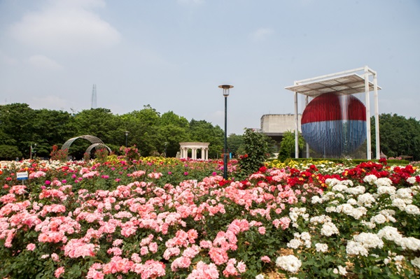 Olympic Park Rose Plaza