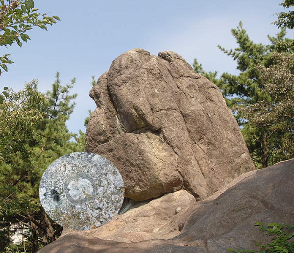 Gusang Companion Pet Rock