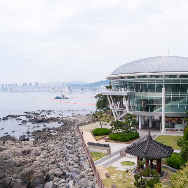 Dongbaek Park