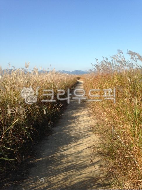 삼락공원 강나루갈대광장